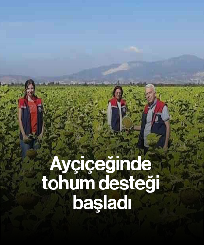 Ayçiçeğinde tohum desteği başladı
