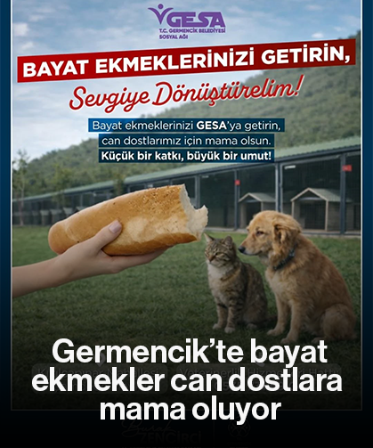 Germencik’te bayat ekmekler can dostlara mama oluyor