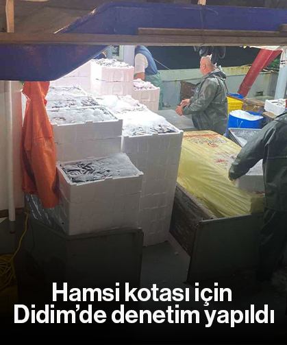 Hamsi kotası için Didim’de denetim yapıldı