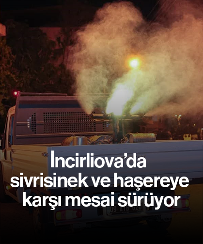 İncirliova’da sivrisinek ve haşereye karşı mesai sürüyor