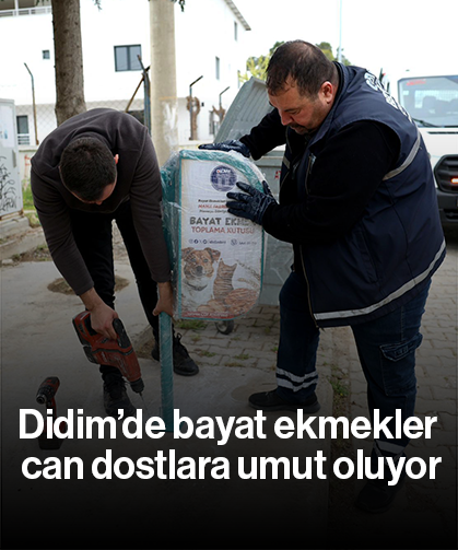 Didim’de bayat ekmekler can dostlara umut oluyor