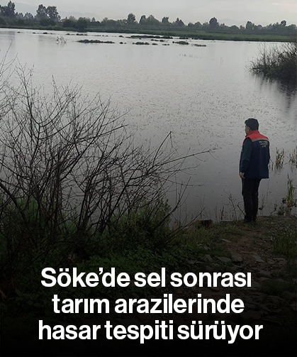 Söke’de sel sonrası tarım arazilerinde hasar tespiti sürüyor