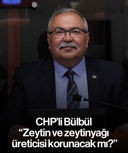 CHP’li Bülbül, “Zeytin ve zeytinyağı üreticisi korunacak mı?”