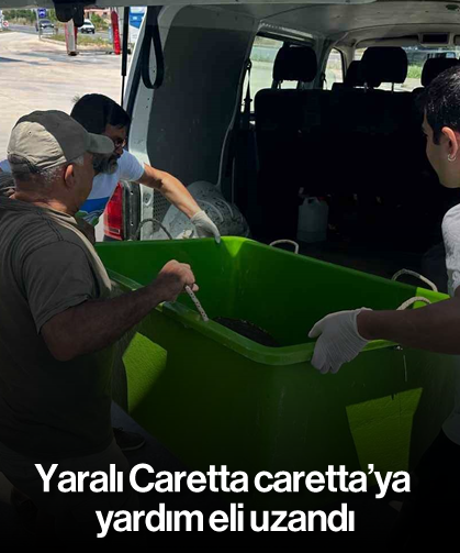 Yaralı Caretta caretta’ya yardım eli uzandı