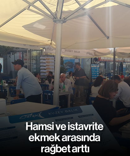 Hamsi ve istavrite ekmek arasında rağbet arttı