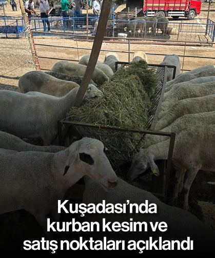 Kuşadası'nda kurban kesim ve satış noktaları açıklandı