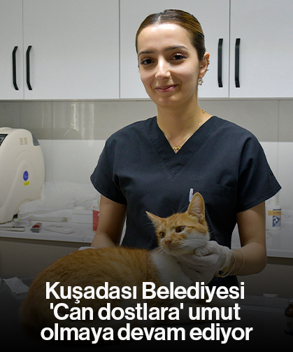 Kuşadası Belediyesi 'Can dostlara' umut olmaya devam ediyor