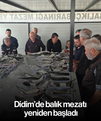 Didim’de balık mezatı yeniden başladı