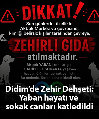 Didim'de Zehir Dehşeti: Yaban hayatı ve sokak canları katledildi
