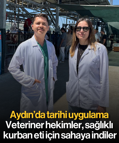 Aydın'da tarihi uygulama: Veteriner hekimler, sağlıklı kurban eti için sahaya indiler