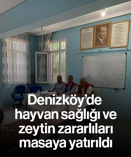 Denizköy’de hayvan sağlığı ve zeytin zararlıları masaya yatırıldı