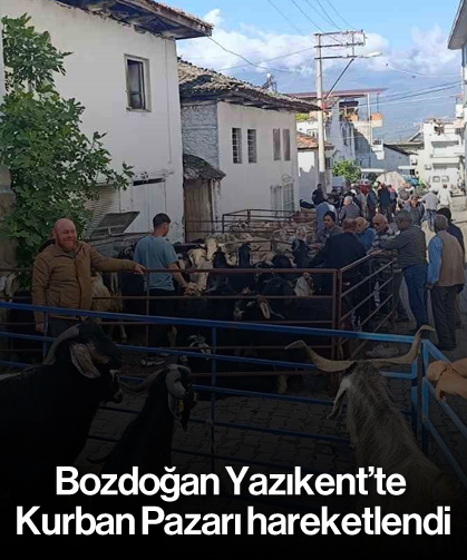 Bozdoğan Yazıkent’te Kurban Pazarı hareketlendi
