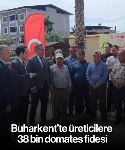 Buharkent’te üreticilere 38 bin domates fidesi