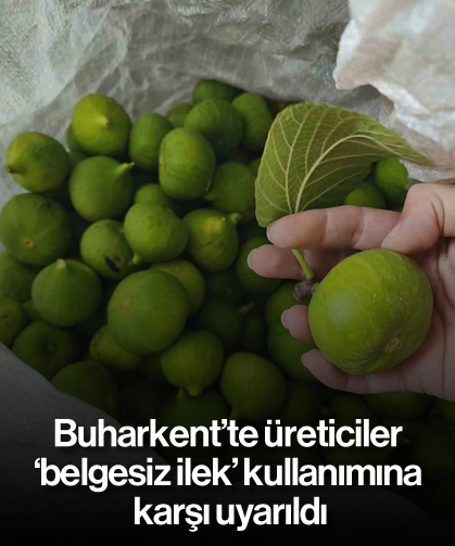 Buharkent’te üreticiler ’belgesiz ilek’ kullanımına karşı uyarıldı