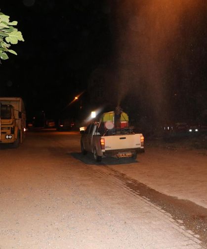 Bozdoğan'da ilaçlama çalışmaları başladı