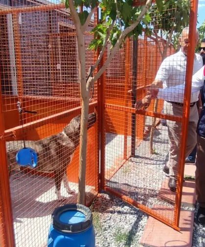 Didim’deki Can dostlara üst düzey denetim