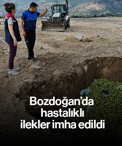 Bozdoğan’da hastalıklı ilekler imha edildi