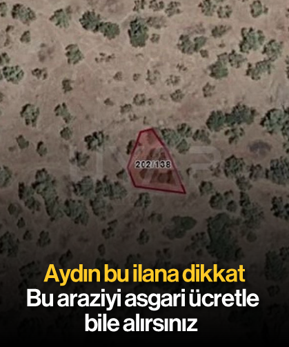 Aydın bu ilana dikkat: Bu araziyi asgari ücretle bile alırsınız