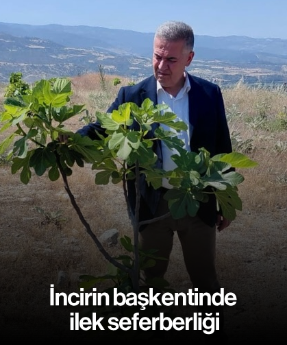 İncirin başkentinde ilek seferberliği