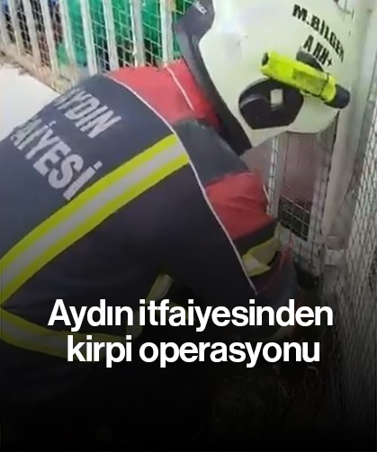 Aydın itfaiyesinden kirpi operasyonu