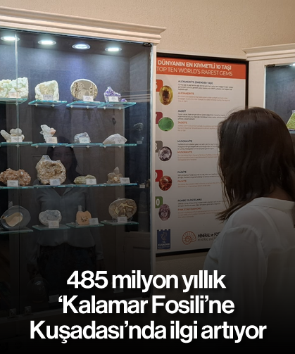 485 milyon yıllık 'Kalamar Fosili'ne Kuşadası'nda ilgi artıyor