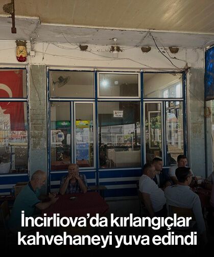 İncirliova’da kırlangıçlar kahvehaneyi yuva edindi