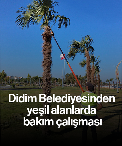Didim Belediyesinden yeşil alanlarda bakım çalışması
