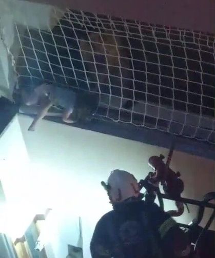 Balkon filesinde can pazarı