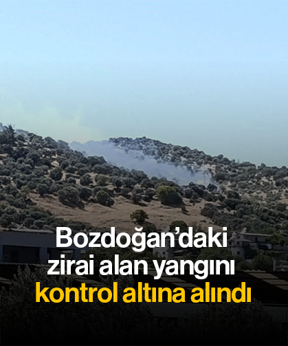 Bozdoğan’daki zirai alan yangını kontrol altına alındı
