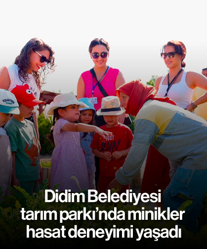 Didim Belediyesi tarım parkı'nda minikler hasat deneyimi yaşadı