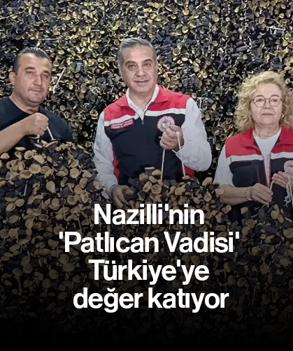 Nazilli'nin 'Patlıcan Vadisi' Türkiye'ye değer katıyor