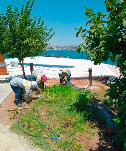 Didim Belediyesi Akköy serasında üretim büyüyor