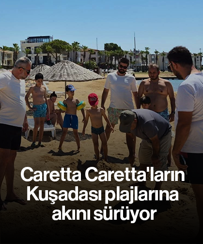 Caretta Caretta'ların Kuşadası plajlarına akını sürüyor