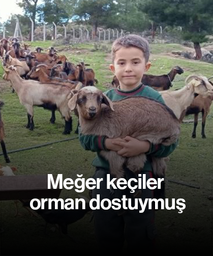 Meğer keçiler orman dostuymuş