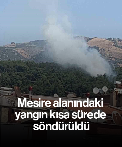 Mesire alanındaki yangın kısa sürede söndürüldü