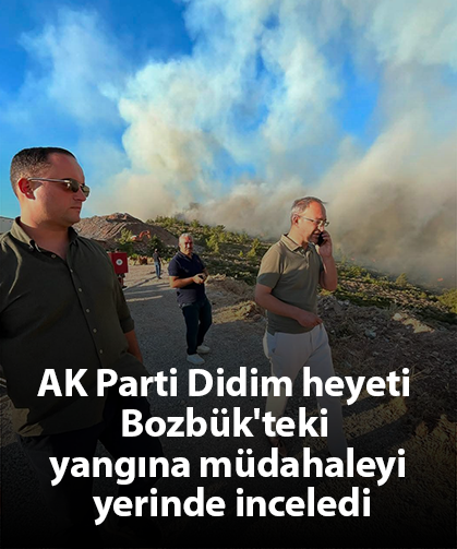 AK Parti Didim heyeti Bozbük'teki yangına müdahaleyi yerinde inceledi