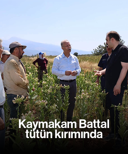 Kaymakam Battal, tütün kırımında