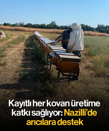 Kayıtlı her kovan üretime katkı sağlıyor: Nazilli’de arıcılara destek