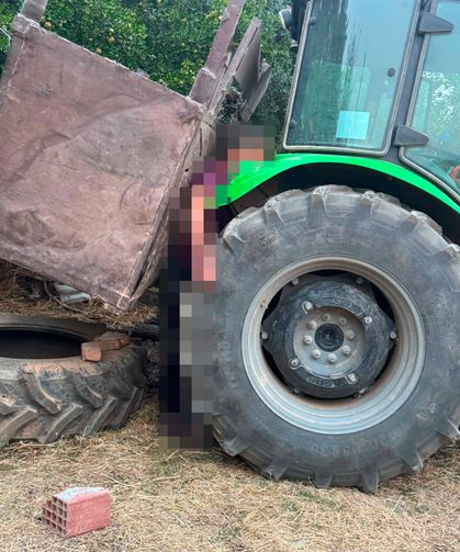 Orman işçisi feci şekilde hayatını kaybetti