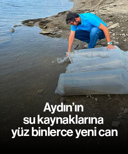 Aydın’ın su kaynaklarına yüz binlerce yeni can