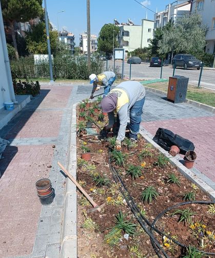 Didim Belediyesi kendi üretimiyle kenti güzelleştiriyor