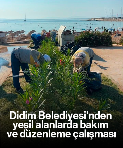 Didim Belediyesi'nden yeşil alanlarda bakım ve düzenleme çalışması