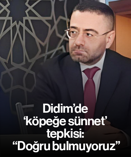Didim’de ‘köpeğe sünnet’ tepkisi: “Doğru bulmuyoruz”