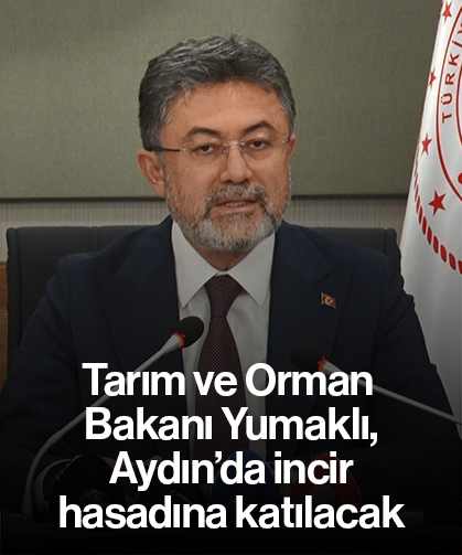 Tarım ve Orman Bakanı Yumaklı, Aydın’da incir hasadına katılacak