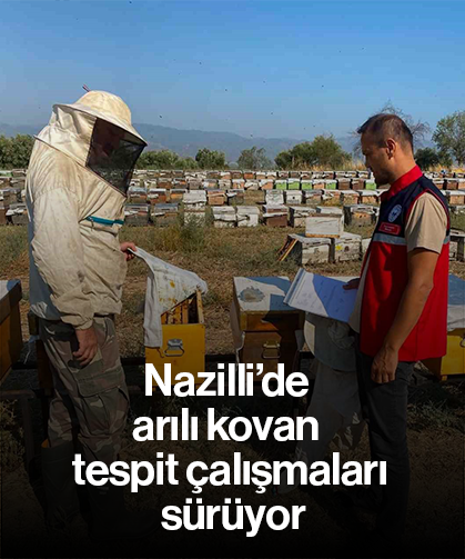 Nazilli’de arılı kovan tespit çalışmaları sürüyor
