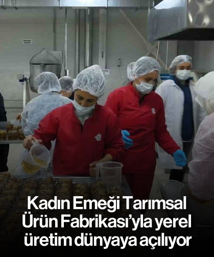 Kadın Emeği Tarımsal Ürün Fabrikası’yla yerel üretim dünyaya açılıyor