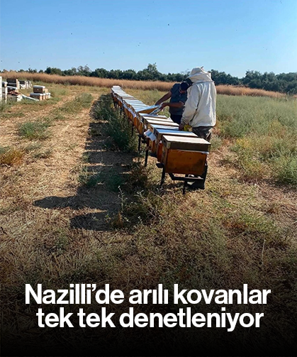 Nazilli’de arılı kovanlar tek tek denetleniyor