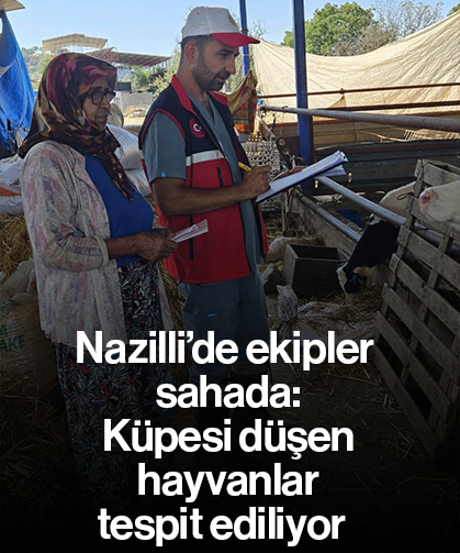 Küpesi düşen hayvanlar tespit ediliyor - Nazilli’de ekipler sahada