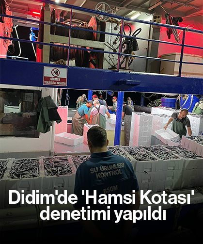 Didim'de 'Hamsi Kotası' denetimi yapıldı