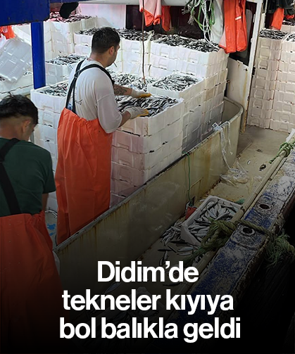 Didim’de tekneler kıyıya bol balıkla geldi